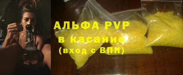 крисы Сатка