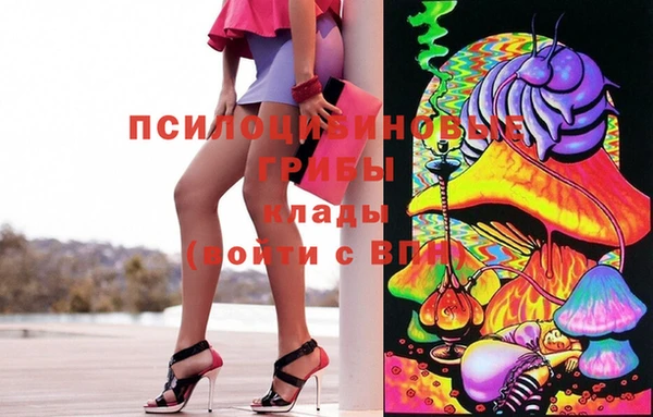 apvp Алексеевка