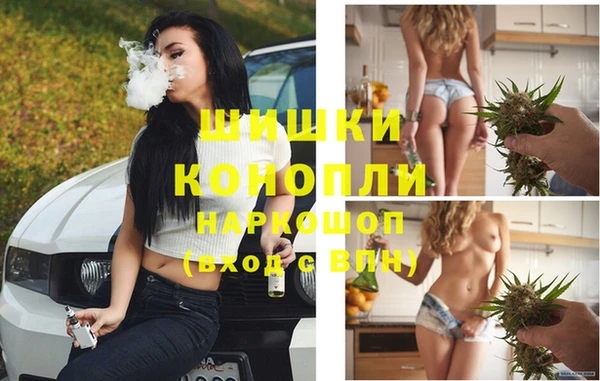 шишки Алзамай