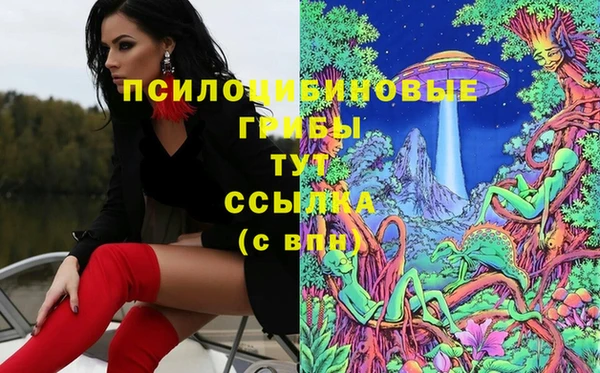 шишки Алзамай