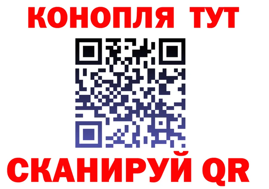 Где найти наркотики? это клад Карачев